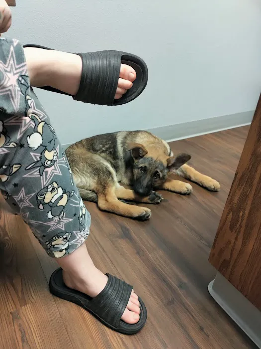 Town & Country Animal Clinic 12