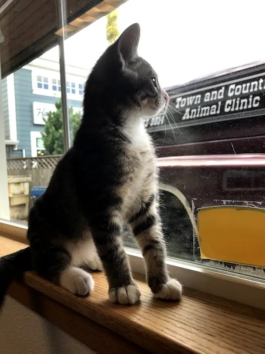 Town & Country Animal Clinic 12