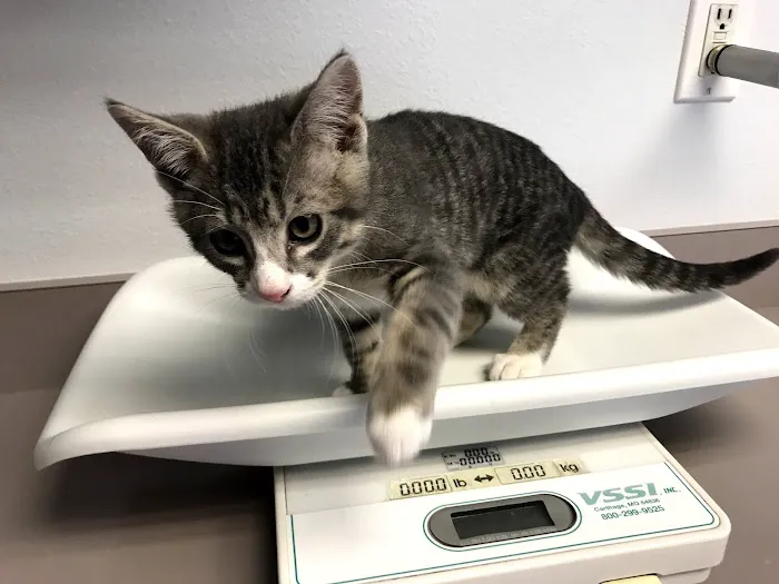 Town & Country Animal Clinic 12