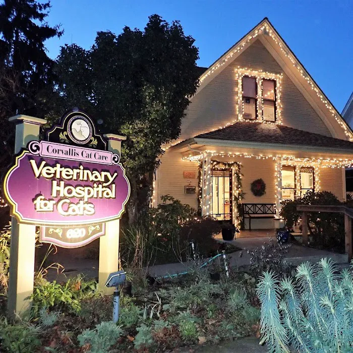 Corvallis Cat Care Veterinary Hospital For Cats 12