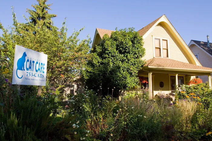 Corvallis Cat Care Veterinary Hospital For Cats 12