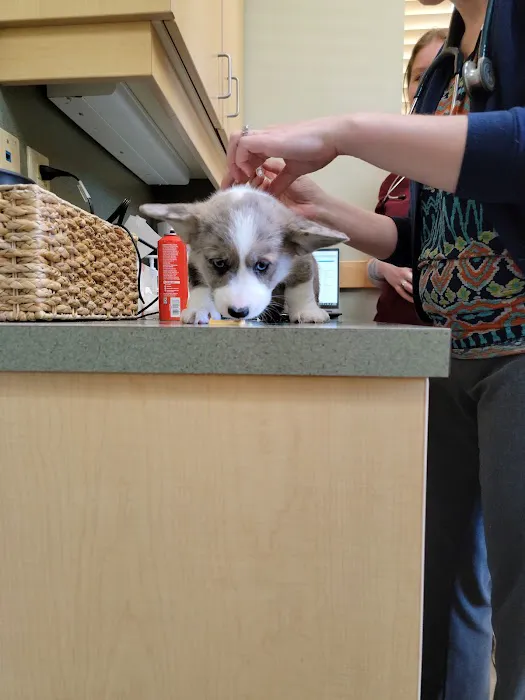 Countryside Animal Clinic 3