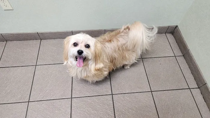 Countryside Animal Clinic 8