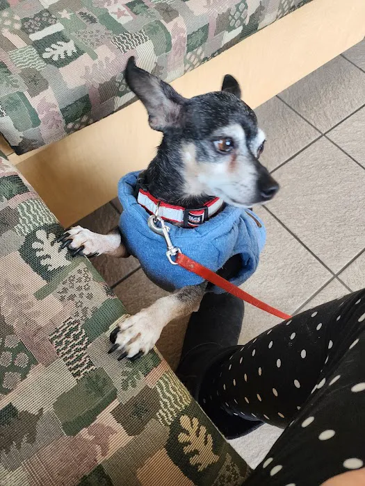 Countryside Animal Clinic 9