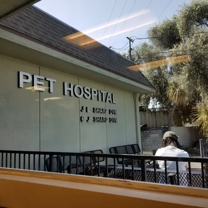 Sharp Pet Hospital 8