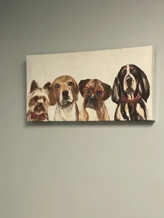 Sharp Pet Hospital 2