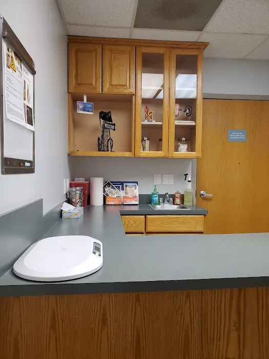 VCA Aacacia Animal Hospital 12