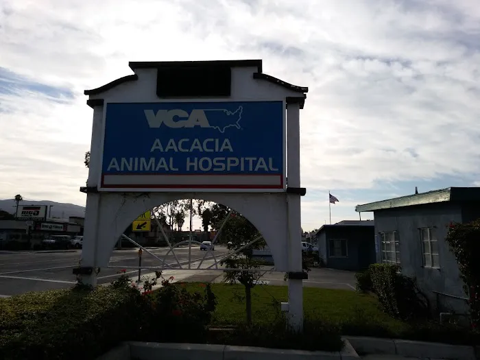 VCA Aacacia Animal Hospital 12