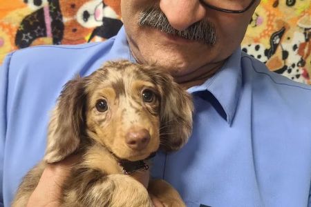 AAA Animal Hospital