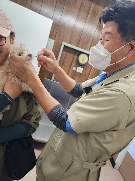 Circle City Animal Hospital 1