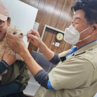Circle City Animal Hospital ico