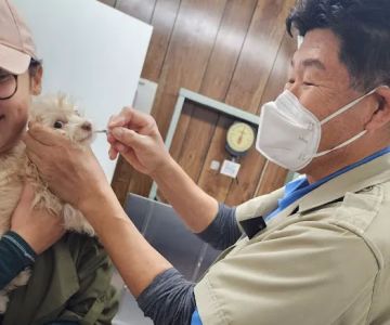 Circle City Animal Hospital