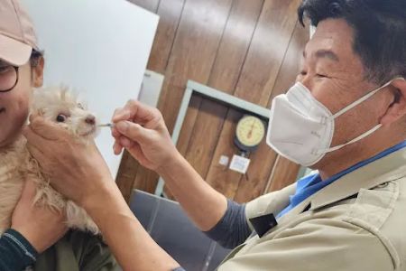 Circle City Animal Hospital
