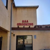 AAA Plaza ico