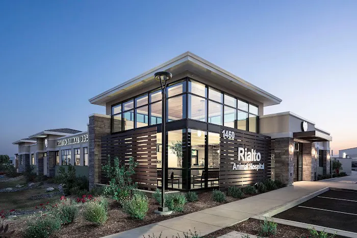 Rialto Animal Hospital 12