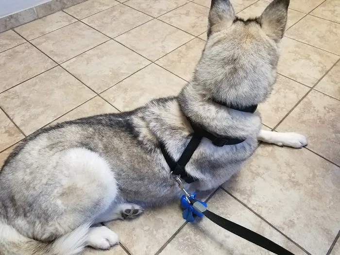 Rialto Animal Hospital 12