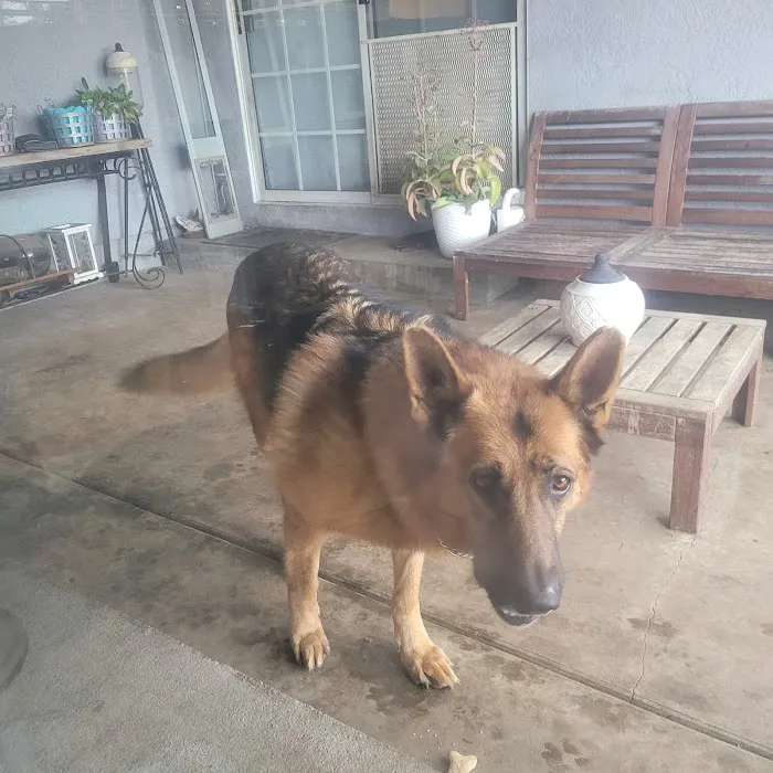 Rialto Animal Hospital 12