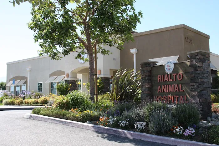 Rialto Animal Hospital 12