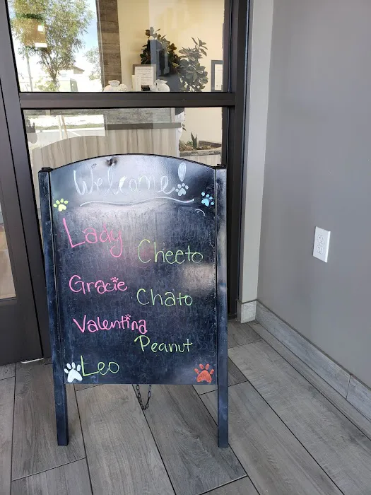 Rialto Animal Hospital 12