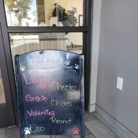 Rialto Animal Hospital ico