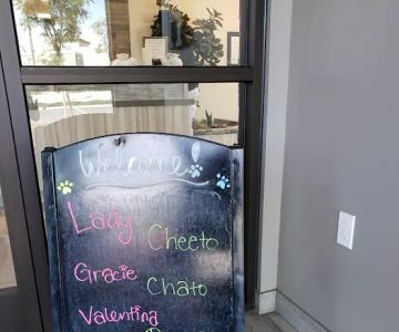 Rialto Animal Hospital