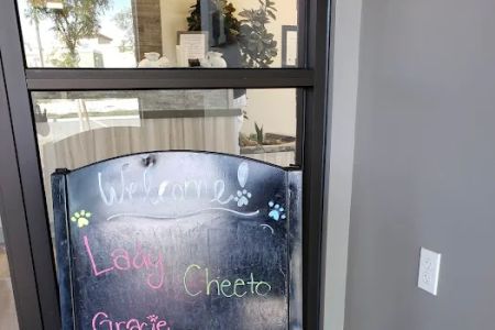Rialto Animal Hospital