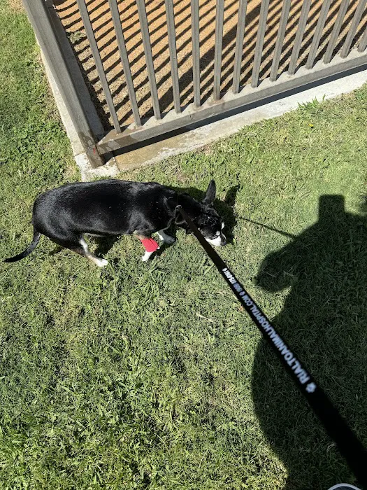 Rialto Animal Hospital 12