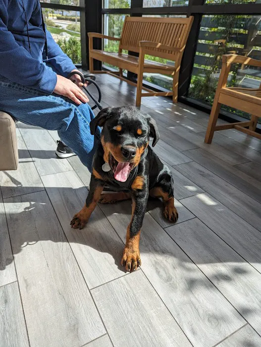 Rialto Animal Hospital: Juarez Shannon DVM 5