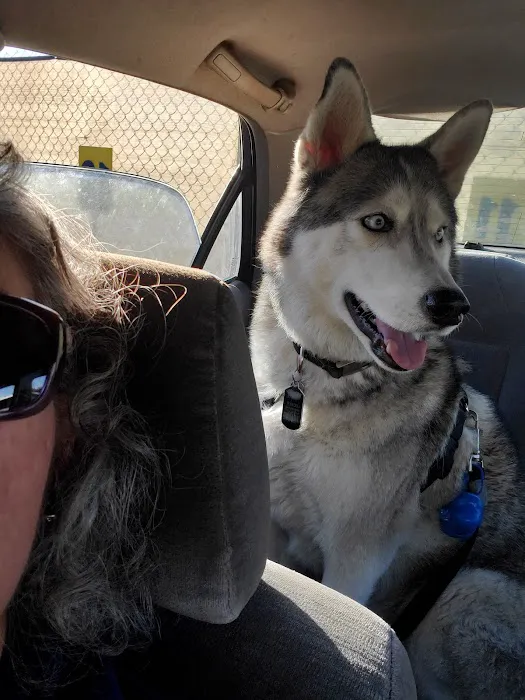 Rialto Animal Hospital: Juarez Shannon DVM 9