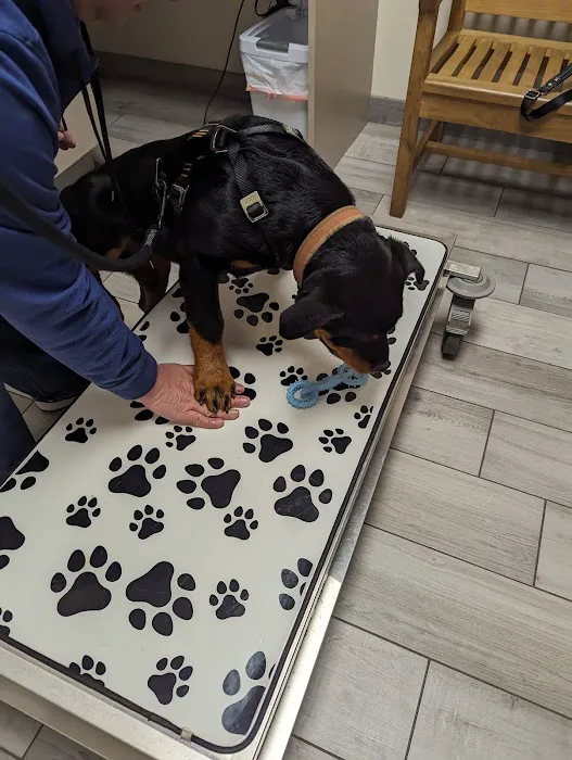Rialto Animal Hospital: Juarez Shannon DVM 3