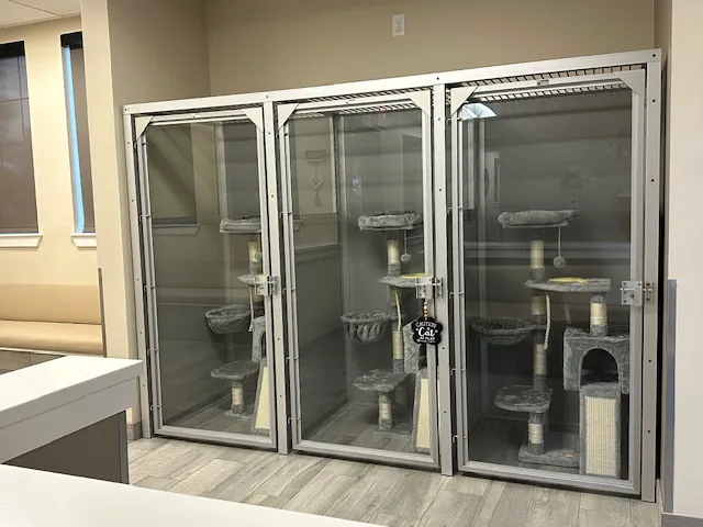 Rialto Cat Hospital 3