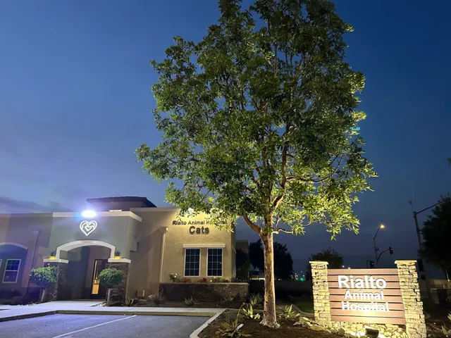Rialto Cat Hospital 4