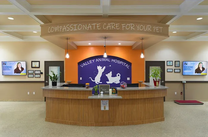 Valley Animal Hospital 7