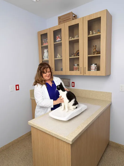 Valley Animal Hospital 2