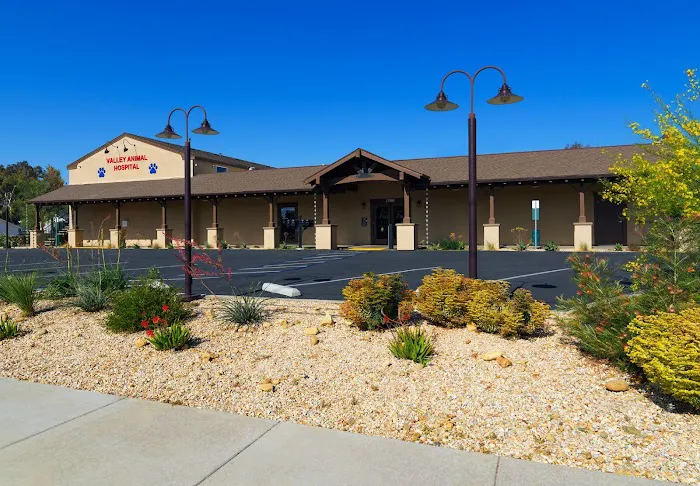 Valley Animal Hospital 5