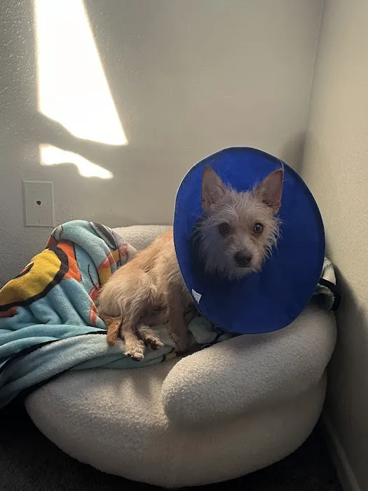Valley Animal Hospital 3