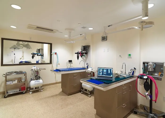 Valley Animal Hospital 8