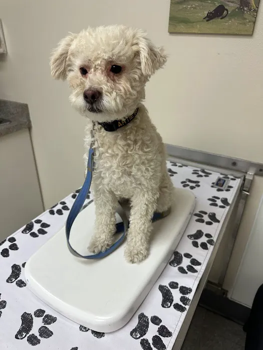Lincoln Plaza Veterinary Clinic 5