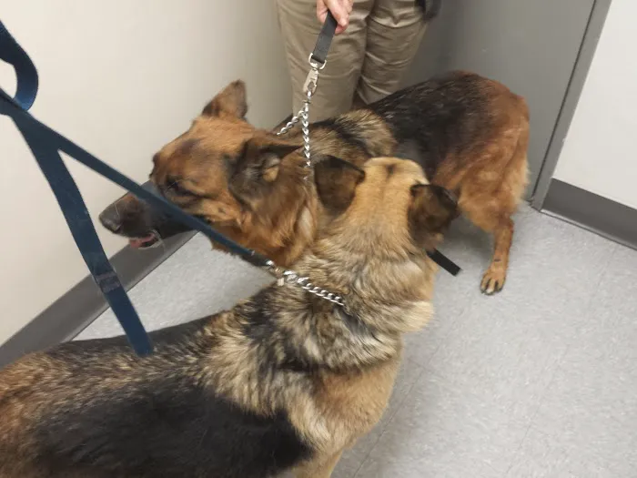 Lincoln Plaza Veterinary Clinic 8