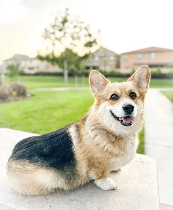 Riverside Animal Hospital 12