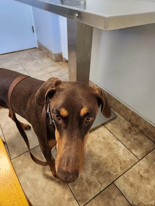 Riverside Animal Hospital 12