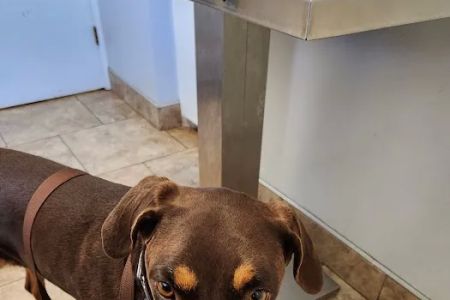 Riverside Animal Hospital