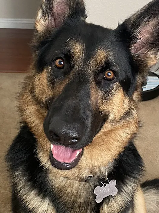 Riverside Animal Hospital 12