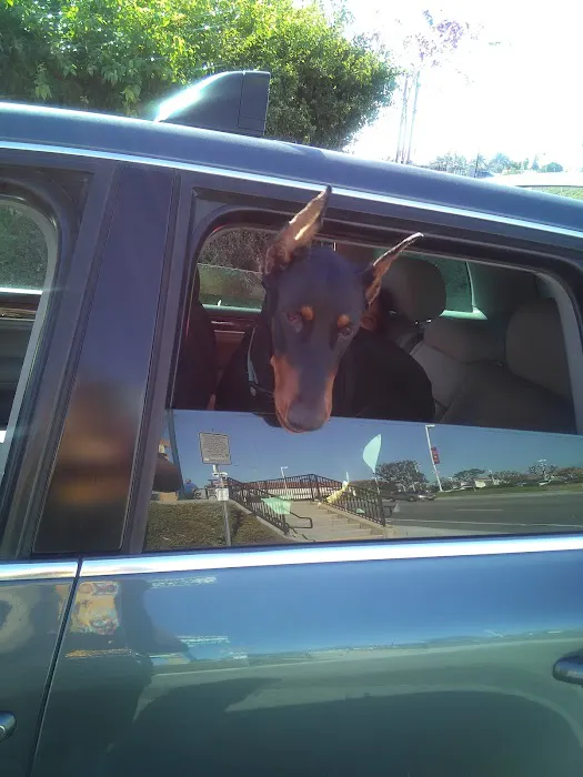 Riverside Animal Hospital 12