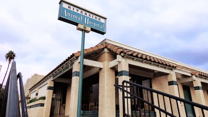 Riverside Animal Hospital 12