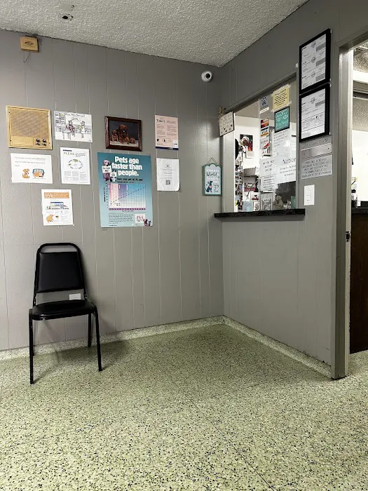 Town & Country Veterinary Clinic 12