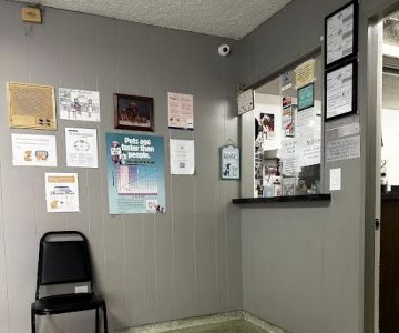 Town & Country Veterinary Clinic