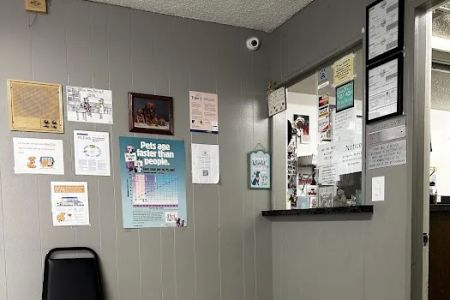 Town & Country Veterinary Clinic
