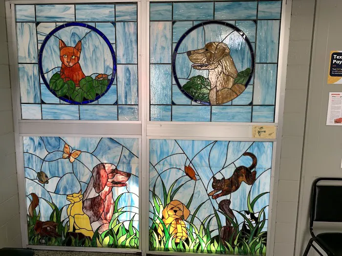 Town & Country Veterinary Clinic 12
