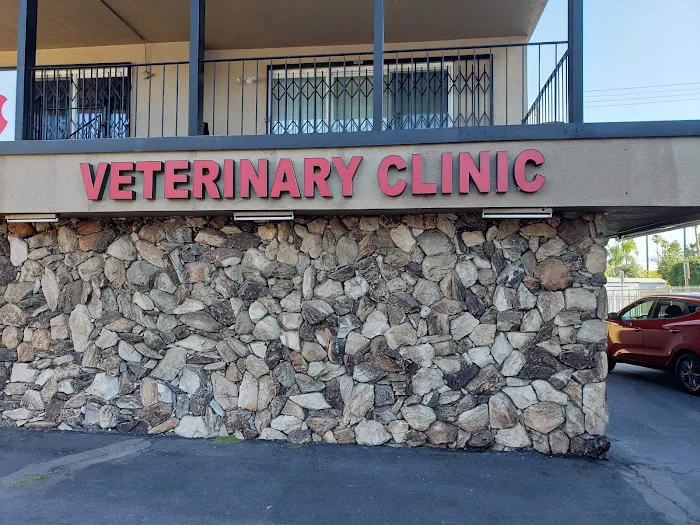 Town & Country Veterinary Clinic 12